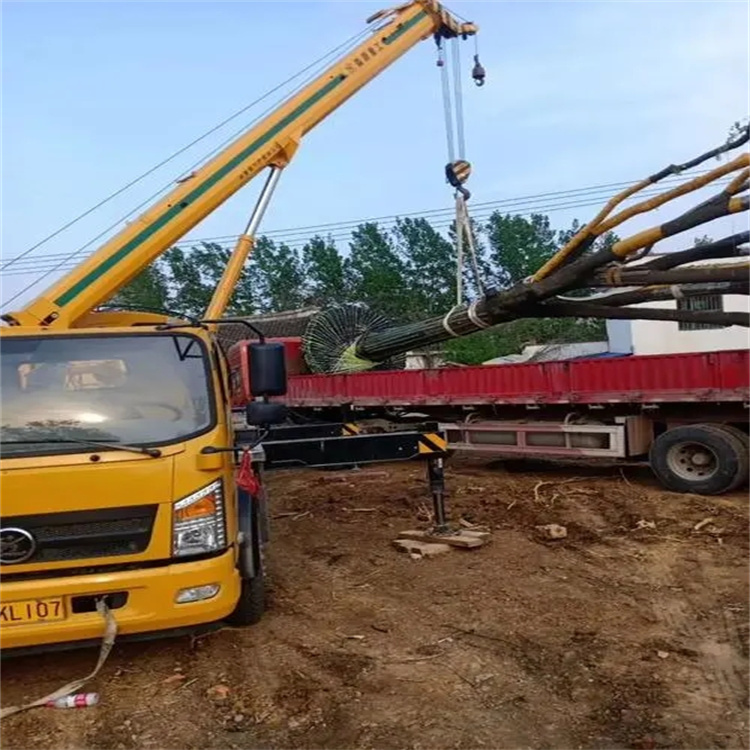 南漳100吨吊车租赁费用怎么算？3大关键因素+省钱技巧全解析